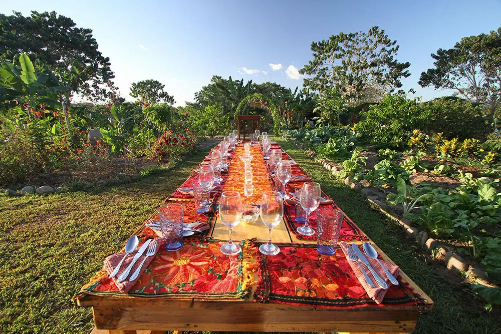 A long farm-to-table dinner table set among the garden beds