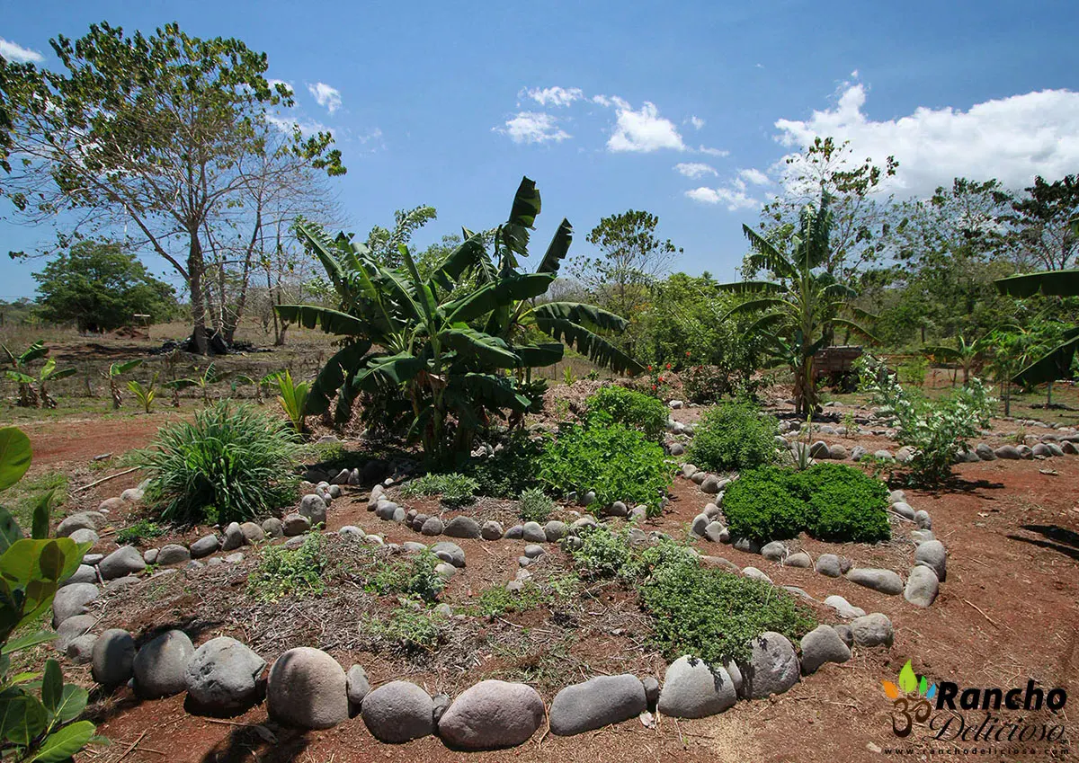 Mandala-shaped keyhole herb gardens at Rancho Delicioso